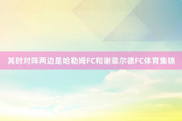 其时对阵两边是哈勒姆FC和谢菲尔德FC体育集锦