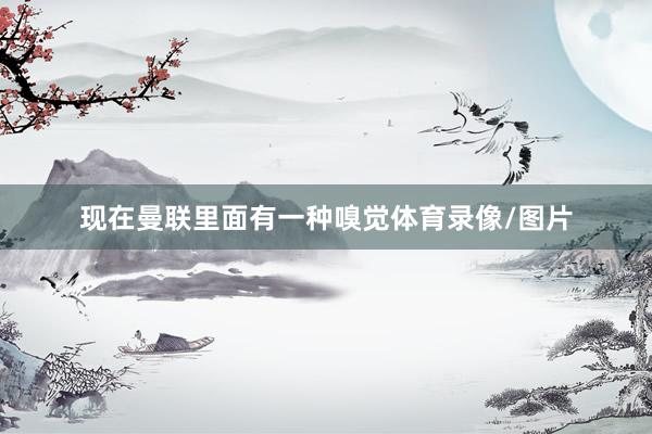 现在曼联里面有一种嗅觉体育录像/图片