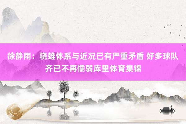 徐静雨：骁雄体系与近况已有严重矛盾 好多球队齐已不再懦弱库里体育集锦