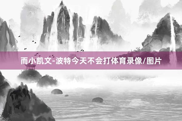 而小凯文-波特今天不会打体育录像/图片