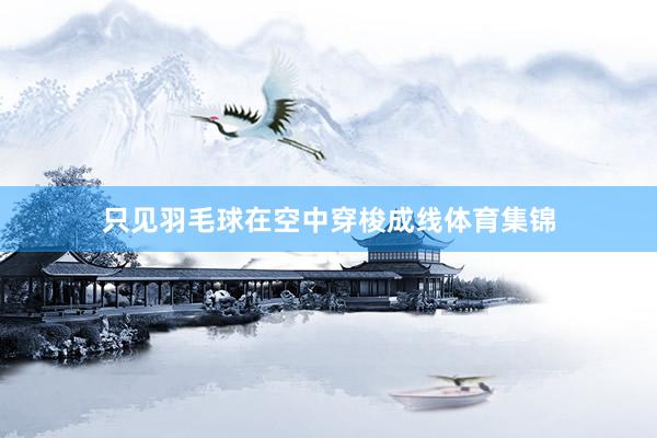 只见羽毛球在空中穿梭成线体育集锦
