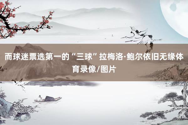 而球迷票选第一的“三球”拉梅洛·鲍尔依旧无缘体育录像/图片