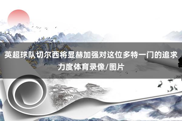 英超球队切尔西将显赫加强对这位多特一门的追求力度体育录像/图片