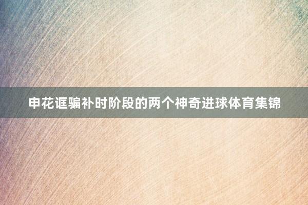 申花诓骗补时阶段的两个神奇进球体育集锦