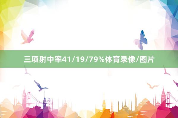 三项射中率41/19/79%体育录像/图片
