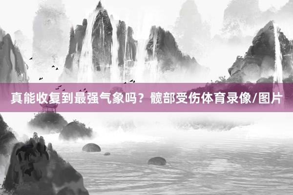 真能收复到最强气象吗？髋部受伤体育录像/图片