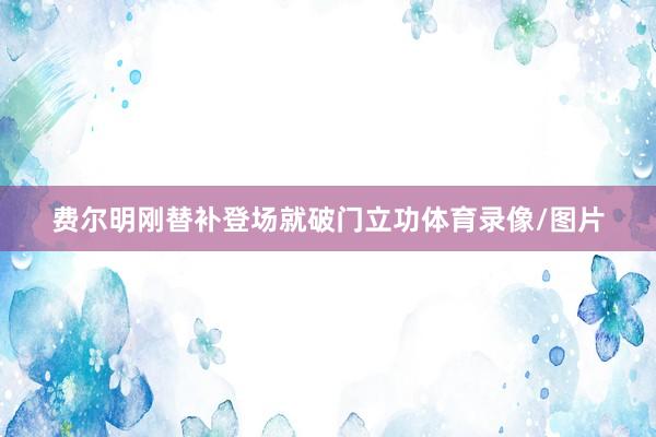 费尔明刚替补登场就破门立功体育录像/图片