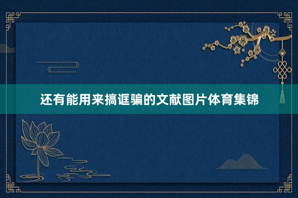 还有能用来搞诓骗的文献图片体育集锦