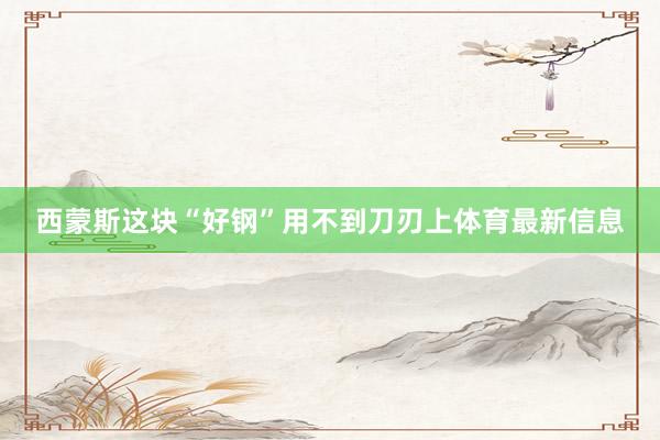 西蒙斯这块“好钢”用不到刀刃上体育最新信息