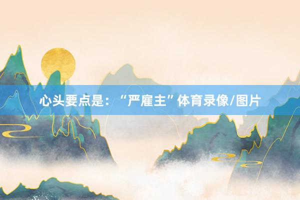 心头要点是：“严雇主”体育录像/图片