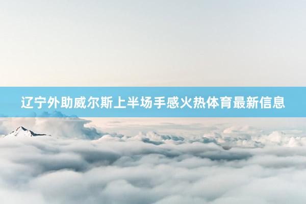 辽宁外助威尔斯上半场手感火热体育最新信息