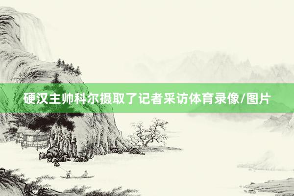硬汉主帅科尔摄取了记者采访体育录像/图片