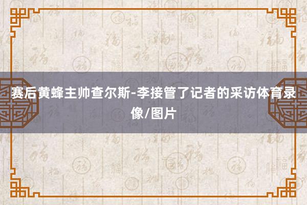 赛后黄蜂主帅查尔斯-李接管了记者的采访体育录像/图片