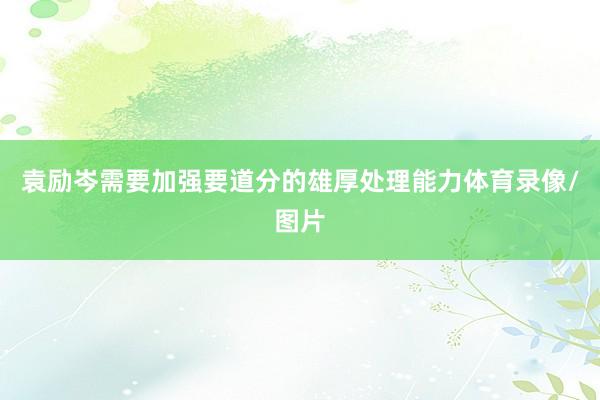 袁励岑需要加强要道分的雄厚处理能力体育录像/图片