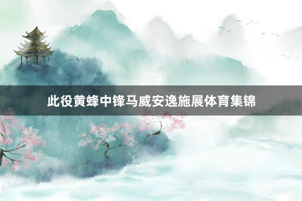 此役黄蜂中锋马威安逸施展体育集锦