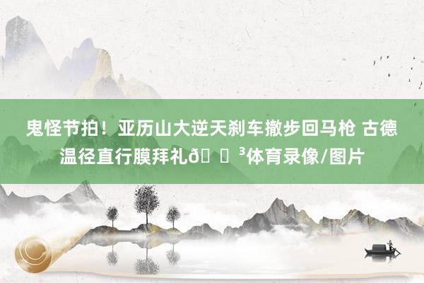 鬼怪节拍！亚历山大逆天刹车撤步回马枪 古德温径直行膜拜礼😳体育录像/图片