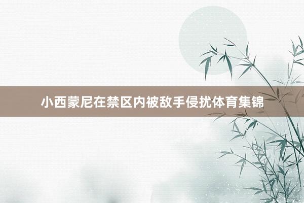 小西蒙尼在禁区内被敌手侵扰体育集锦