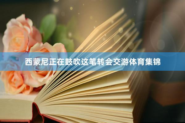 西蒙尼正在鼓吹这笔转会交游体育集锦