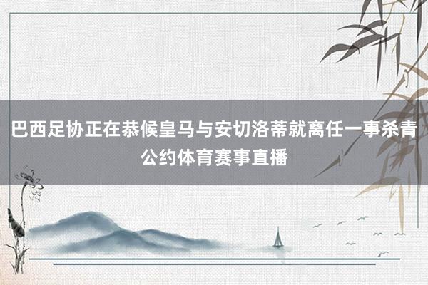 巴西足协正在恭候皇马与安切洛蒂就离任一事杀青公约体育赛事直播
