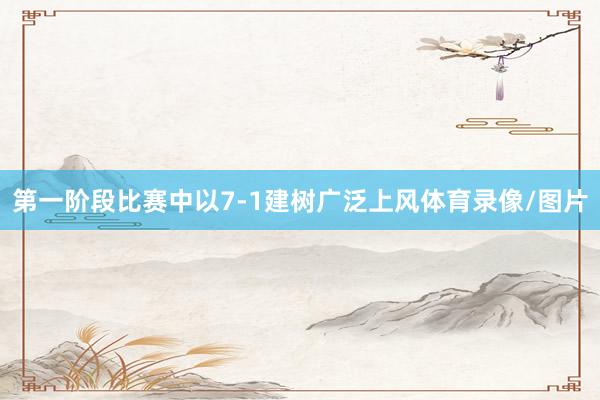 第一阶段比赛中以7-1建树广泛上风体育录像/图片