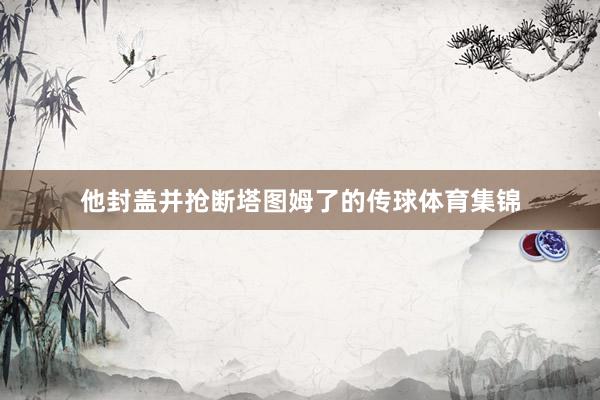 他封盖并抢断塔图姆了的传球体育集锦