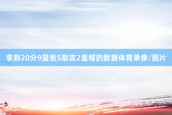 拿到20分9篮板5助攻2盖帽的数据体育录像/图片