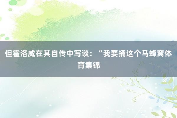 但霍洛威在其自传中写谈：“我要捅这个马蜂窝体育集锦