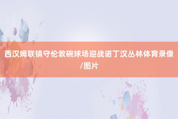 西汉姆联镇守伦敦碗球场迎战诺丁汉丛林体育录像/图片