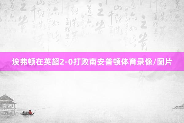埃弗顿在英超2-0打败南安普顿体育录像/图片