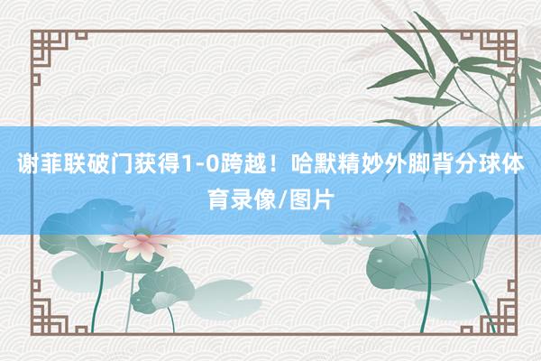 谢菲联破门获得1-0跨越！哈默精妙外脚背分球体育录像/图片