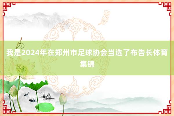 我是2024年在郑州市足球协会当选了布告长体育集锦