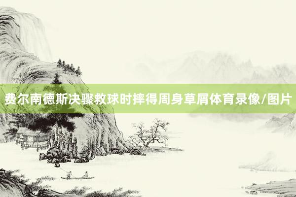 费尔南德斯决骤救球时摔得周身草屑体育录像/图片