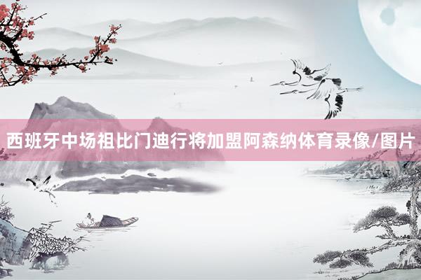 西班牙中场祖比门迪行将加盟阿森纳体育录像/图片