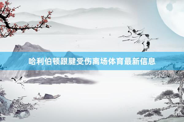 哈利伯顿跟腱受伤离场体育最新信息