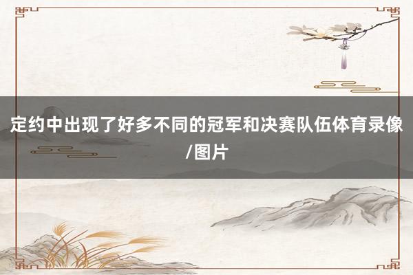 定约中出现了好多不同的冠军和决赛队伍体育录像/图片