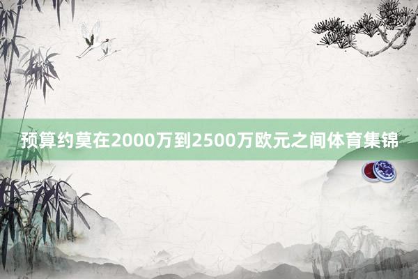 预算约莫在2000万到2500万欧元之间体育集锦