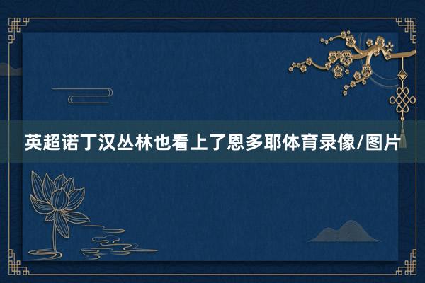 英超诺丁汉丛林也看上了恩多耶体育录像/图片