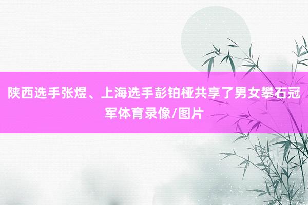 陕西选手张煜、上海选手彭铂桠共享了男女攀石冠军体育录像/图片