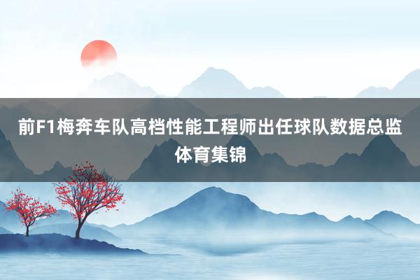 前F1梅奔车队高档性能工程师出任球队数据总监体育集锦