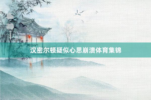 汉密尔顿疑似心思崩溃体育集锦