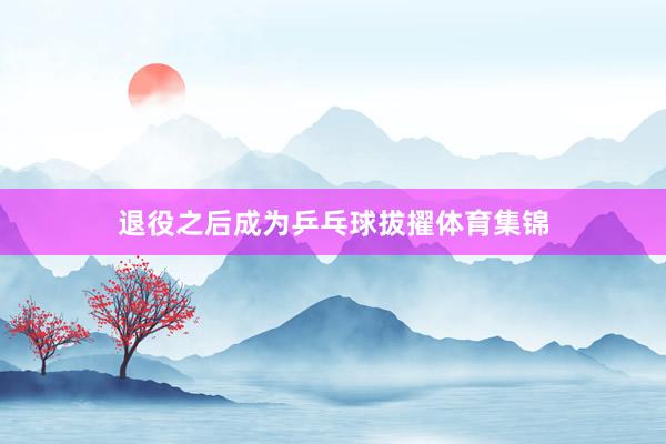 退役之后成为乒乓球拔擢体育集锦