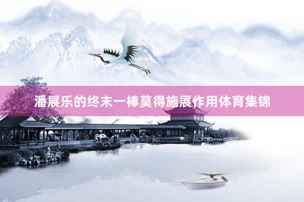 潘展乐的终末一棒莫得施展作用体育集锦