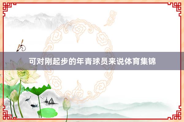 可对刚起步的年青球员来说体育集锦