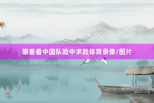 眼看着中国队险中求胜体育录像/图片
