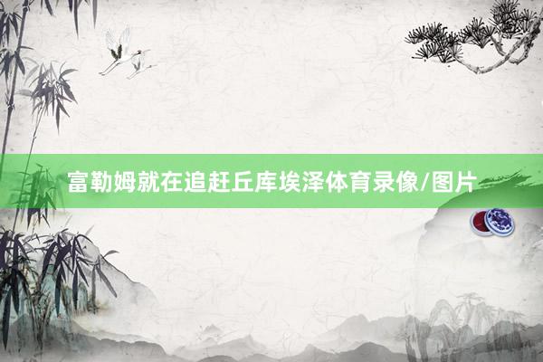 富勒姆就在追赶丘库埃泽体育录像/图片