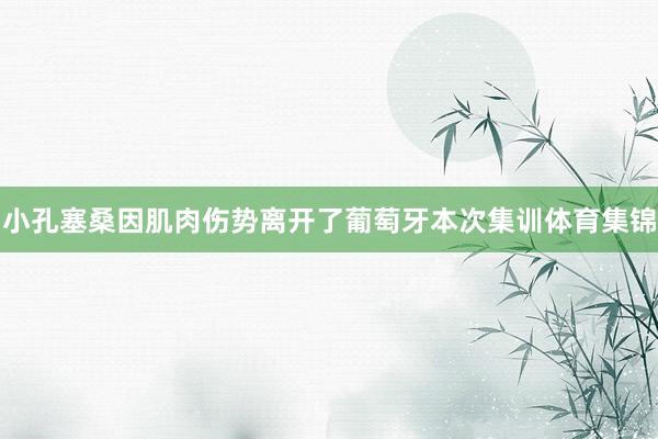 小孔塞桑因肌肉伤势离开了葡萄牙本次集训体育集锦