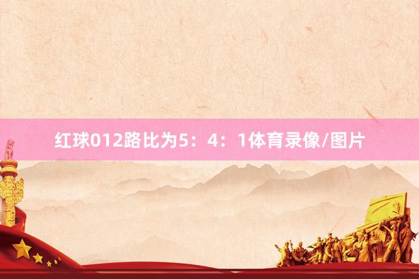 红球012路比为5：4：1体育录像/图片