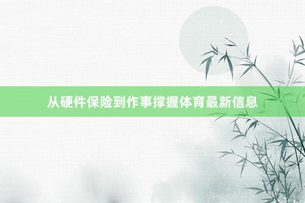 从硬件保险到作事撑握体育最新信息