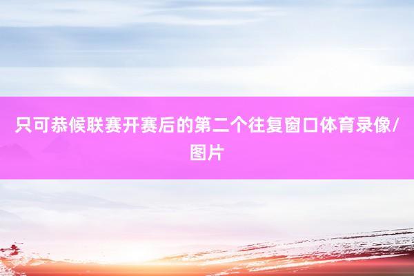 只可恭候联赛开赛后的第二个往复窗口体育录像/图片