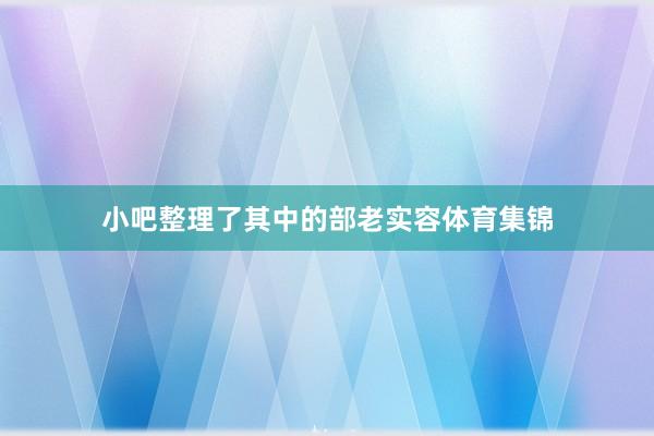 小吧整理了其中的部老实容体育集锦